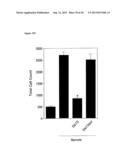 VASCULAR THERAPEUTICS diagram and image