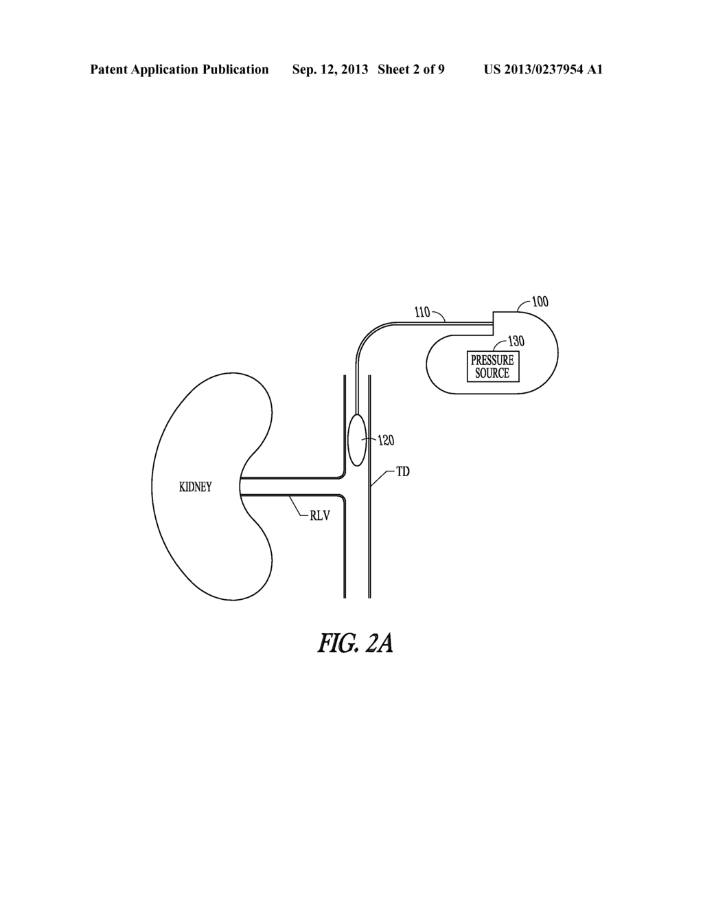 DEVICE AND METHOD FOR MODULATING RENAL FUNCTION - diagram, schematic, and image 03