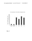 NEUROMODULATION USING ENERGY-EFFICIENT WAVEFORMS diagram and image