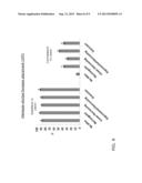 NEUROMODULATION USING ENERGY-EFFICIENT WAVEFORMS diagram and image