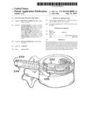 DEVICES FOR TREATING THE SPINE diagram and image