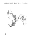 SIMULATION METHOD FOR HIGH POLYMER MATERIAL diagram and image