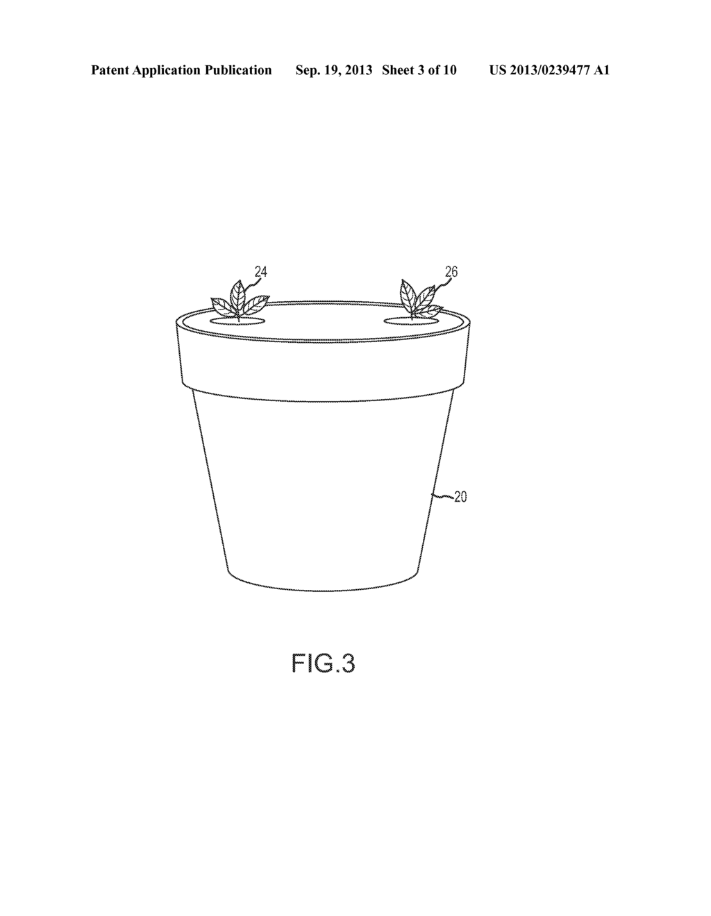 METHOD OF INCREASING PLANT BRANCHING - diagram, schematic, and image 04