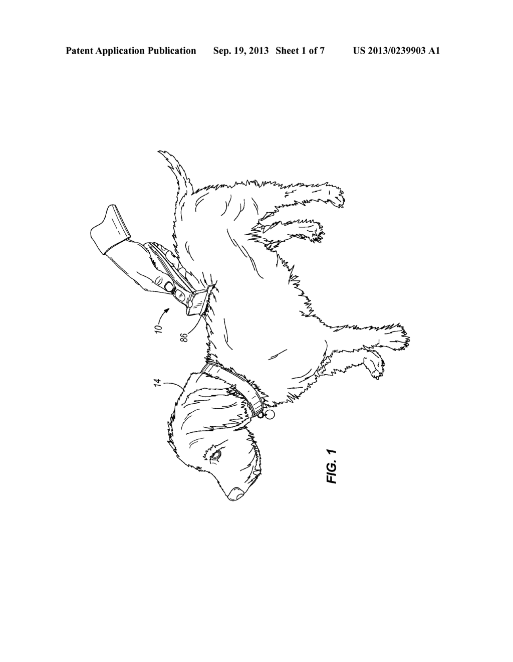 VIBRATORY HAIR GROOMING TOOL - diagram, schematic, and image 02