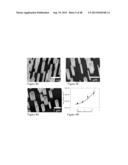 High Efficiency Broadband Semiconductor Nanowire Devices diagram and image