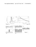 High Efficiency Broadband Semiconductor Nanowire Devices diagram and image