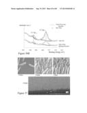 High Efficiency Broadband Semiconductor Nanowire Devices diagram and image