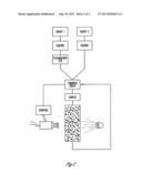 METHOD FOR SORTING RESISTANT SEED FROM A MIXTURE WITH SUSCEPTIBLE SEED diagram and image