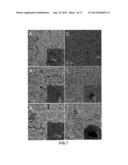 REDUCED GRAPHENE OXIDE-BASED-COMPOSITES FOR THE PURIFICATION OF WATER diagram and image