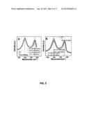 REDUCED GRAPHENE OXIDE-BASED-COMPOSITES FOR THE PURIFICATION OF WATER diagram and image