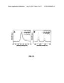 REDUCED GRAPHENE OXIDE-BASED-COMPOSITES FOR THE PURIFICATION OF WATER diagram and image