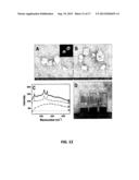 REDUCED GRAPHENE OXIDE-BASED-COMPOSITES FOR THE PURIFICATION OF WATER diagram and image