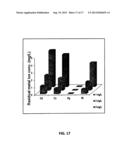 REDUCED GRAPHENE OXIDE-BASED-COMPOSITES FOR THE PURIFICATION OF WATER diagram and image