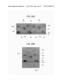 QUANTUM DOT STRUCTURE, METHOD FOR FORMING QUANTUM DOT STRUCTURE,     WAVELENGTH CONVERSION ELEMENT, LIGHT-LIGHT CONVERSION DEVICE, AND     PHOTOELECTRIC CONVERSION DEVICE diagram and image