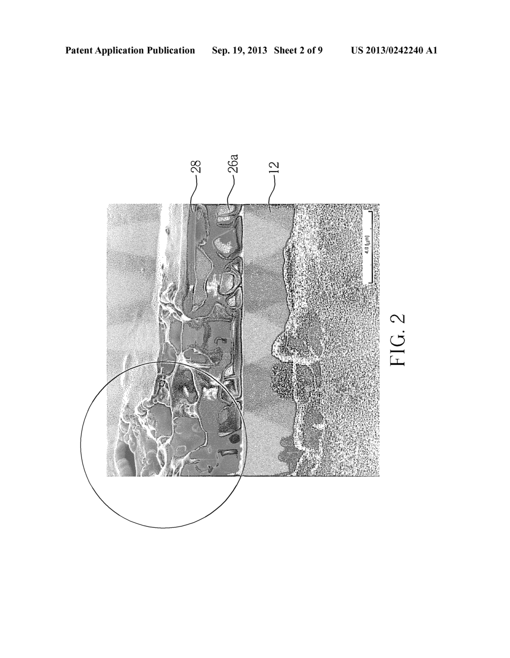 DISPLAY PANEL - diagram, schematic, and image 03