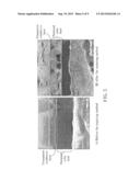 DISPLAY PANEL diagram and image