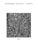 METHOD FOR PRODUCING FLEXOGRAPHIC PRINTING PLATES USING UV-LED IRRADIATION diagram and image