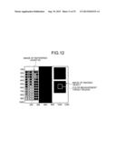 IMAGING UNIT, COLOR MEASURING DEVICE, IMAGE FORMING APPARATUS, COLOR     MEASURING SYSTEM, AND COLOR MEASURING METHOD diagram and image