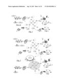 APPARATUS AND METHODS FOR MULTIMODE INTERNETWORKING CONNECTIVITY diagram and image