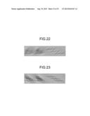 Illusion Image Generating Apparatus, Medium, Image Data, Illusion Image     Generating Method, Printing Medium Manufacturing Method, and Program diagram and image