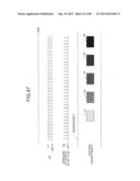 IMAGE FORMING APPARATUS diagram and image