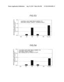 IMAGE FORMING APPARATUS diagram and image