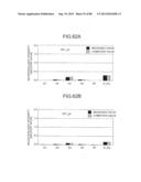 IMAGE FORMING APPARATUS diagram and image