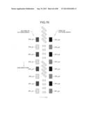 IMAGE FORMING APPARATUS diagram and image