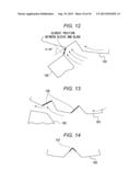 DEVELOPING APPARATUS diagram and image