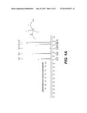 AMINE TREATING PROCESS FOR SELECTIVE ACID GAS SEPARATION diagram and image