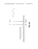 AMINE TREATING PROCESS FOR SELECTIVE ACID GAS SEPARATION diagram and image