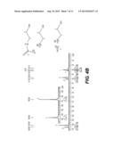 AMINE TREATING PROCESS FOR SELECTIVE ACID GAS SEPARATION diagram and image