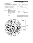 PARTICLES AND CONTRAST AGENT INCLUDING THE SAME FOR OPTICAL IMAGING diagram and image