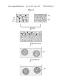 PARTICLES AND CONTRAST AGENT INCLUDING THE SAME FOR OPTICAL IMAGING diagram and image