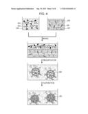 PARTICLES AND CONTRAST AGENT INCLUDING THE SAME FOR OPTICAL IMAGING diagram and image