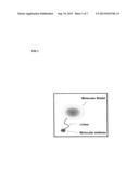 Proteomic Antisense Molecular Shield and Targeting diagram and image