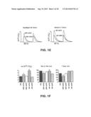 RNA INTERFERENCE FOR THE TREATMENT OF HEART FAILURE diagram and image