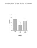 RNA INTERFERENCE FOR THE TREATMENT OF HEART FAILURE diagram and image