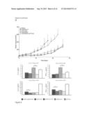 ONCOLYTIC ADENOVIRAL VECTORS CODING FOR MONOCLONAL ANTI-CTLA-4 ANTIBODIES diagram and image