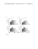 ONCOLYTIC ADENOVIRAL VECTORS CODING FOR MONOCLONAL ANTI-CTLA-4 ANTIBODIES diagram and image