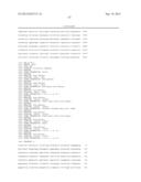 ONCOLYTIC ADENOVIRAL VECTORS CODING FOR MONOCLONAL ANTI-CTLA-4 ANTIBODIES diagram and image