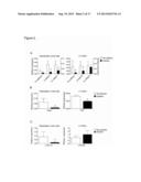 REPLACEMENT OF BONE MARROW NICHE CELLS FOR TREATMENT OF VARIOUS DISEASES diagram and image