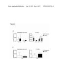 REPLACEMENT OF BONE MARROW NICHE CELLS FOR TREATMENT OF VARIOUS DISEASES diagram and image