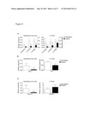 REPLACEMENT OF BONE MARROW NICHE CELLS FOR TREATMENT OF VARIOUS DISEASES diagram and image