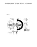 REPLACEMENT OF BONE MARROW NICHE CELLS FOR TREATMENT OF VARIOUS DISEASES diagram and image