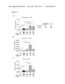 REPLACEMENT OF BONE MARROW NICHE CELLS FOR TREATMENT OF VARIOUS DISEASES diagram and image