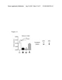 REPLACEMENT OF BONE MARROW NICHE CELLS FOR TREATMENT OF VARIOUS DISEASES diagram and image