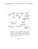 GLYCOCONJUGATES AND THEIR USE AS POTENTIAL VACCINES AGAINST INFECTION BY     SHIGELLA FLEXNERI diagram and image