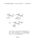 GLYCOCONJUGATES AND THEIR USE AS POTENTIAL VACCINES AGAINST INFECTION BY     SHIGELLA FLEXNERI diagram and image