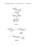 GLYCOCONJUGATES AND THEIR USE AS POTENTIAL VACCINES AGAINST INFECTION BY     SHIGELLA FLEXNERI diagram and image